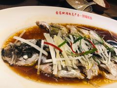 清蒸翘嘴鱼白-丹江渔村(首都机场店)