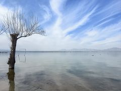 -观澜小洱海