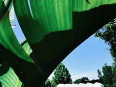 -圣露庄园·亲子活动乐园·露营·团建婚礼