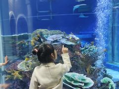 -成都浩海立方海洋公园