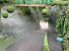 -青青世界