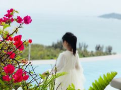 -瑰丽酒店·海吧·天际下午茶·现场DJ·天台酒吧