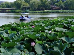 -西海子公园