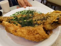 -老粤西梧州特色菜餐厅