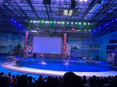 -华夏文旅海洋公园