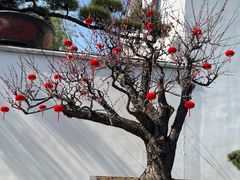-龙华寺