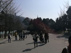 -长乐饭店(江西街店)