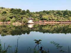 -太湖游船(石公山码头)