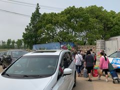 -上海滨江森林公园·停车场