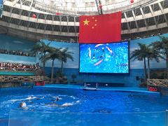 -海合安成都极地海洋公园