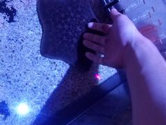 -暹罗海洋世界