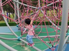 -四里河滨水生态公园