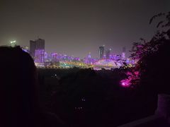 -龟山风景区-龟山电视塔