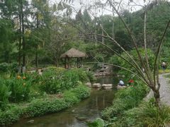 -重庆彩云湖湿地公园
