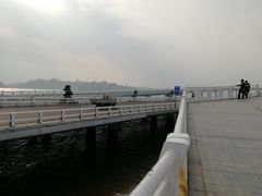 -演武大桥观景平台