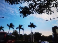 -白城沙滩