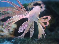 -北京海洋馆