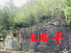 -灵岩山风景区