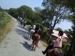 静安马场-沈阳静安马场