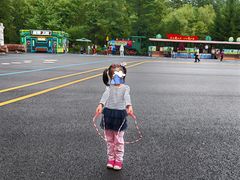 -五营红松林海景区