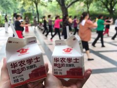 -晓港公园