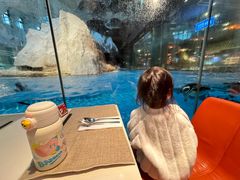 -帝企鹅自助餐厅•儿童岛•真企鹅(长隆企鹅酒店)