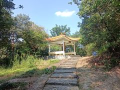 -风云岭森林公园