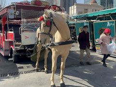 -天津五大道文化旅游区