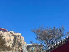 -泰山风景名胜区