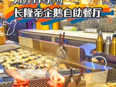 -帝企鹅自助餐厅•儿童岛•真企鹅(长隆企鹅酒店)