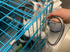 -芭比堂爱心动物医院·心脏科·犬猫内科(越城可乐分院)