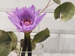 -Manner Coffee(中国凤凰大厦店)