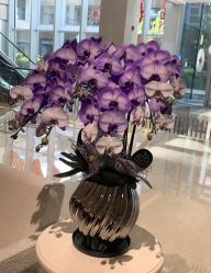 -MuseMarry婚纱(前海嘉里中心店)