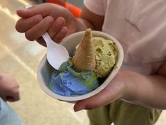 -极拉图·现制冰淇淋(大卫城店)