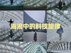 -凤凰中心