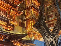 -新加坡佛牙寺龙华院