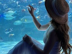 -海合安成都极地海洋公园