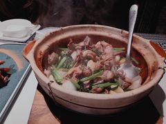 紫苏啫乳鸽-大鸽饭(体育西路店)