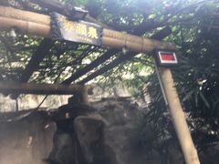 -天赐温泉