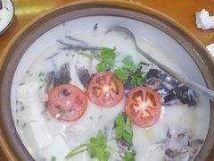 -全乐鱼馆·淳牌有机鱼直营店