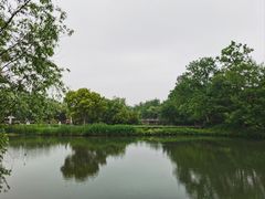 -西溪国家湿地公园