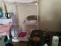-青春加萌照相馆
