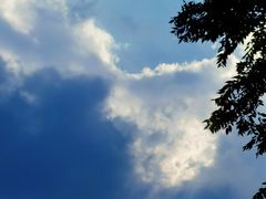 -阳台山自然风景区