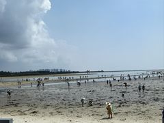 -红树林天天赶海