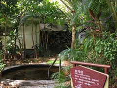 -碧桂园润杨溪谷温泉酒店