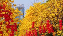 -半岛故事·法儿曼抗衰·indiba中心