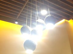 -探窝·竹笙椰子鸡(杨箕店)