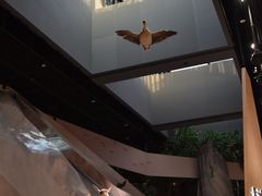 -长江文明馆
