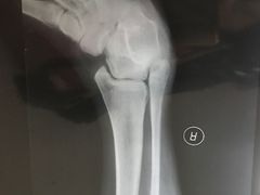 -广州中医药大学第一附属医院(总院)