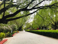 -青城公园